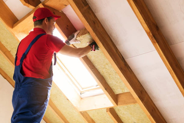 Types of Insulation We Offer in Balcones Heights, TX